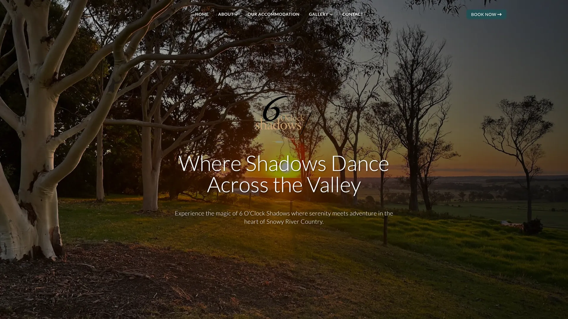 6 O'Clock Shadows