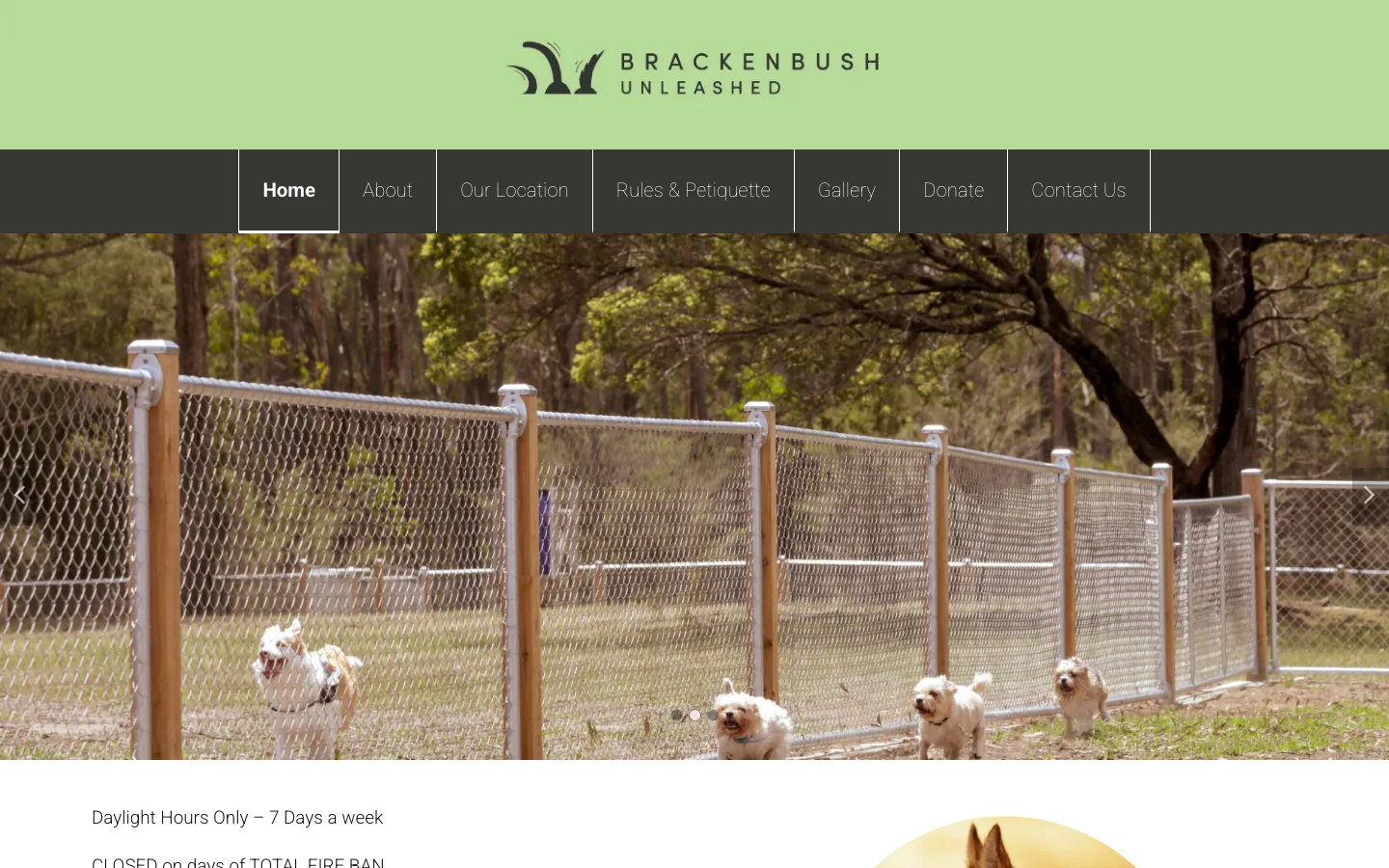 Brackenbush Unleashed