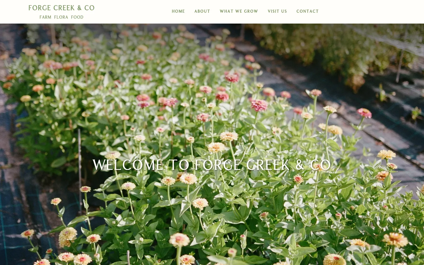 Forge Creek & Co