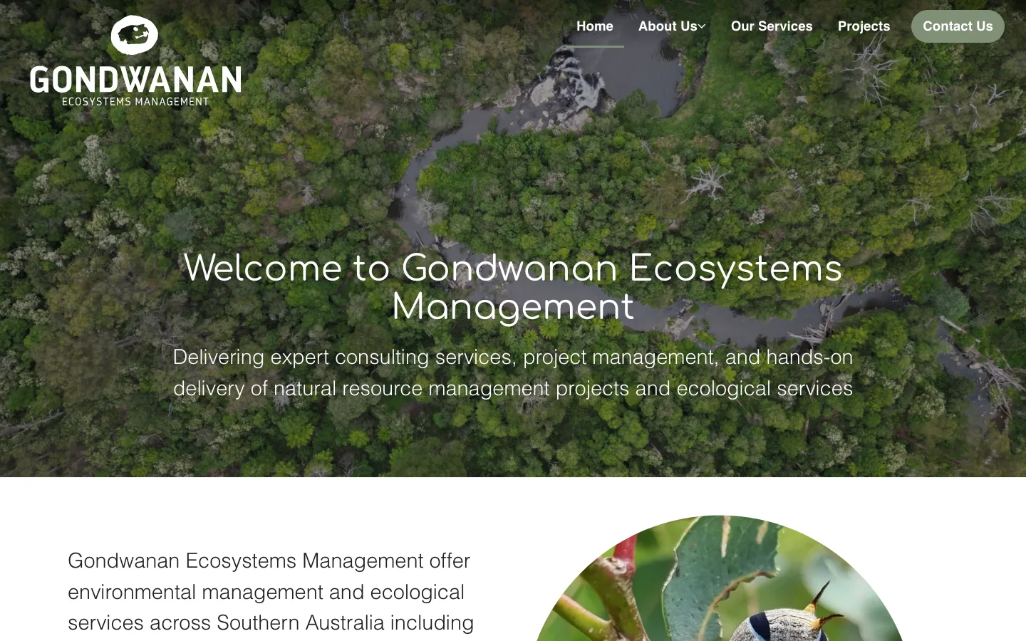 Gondwanan Ecosystems Management