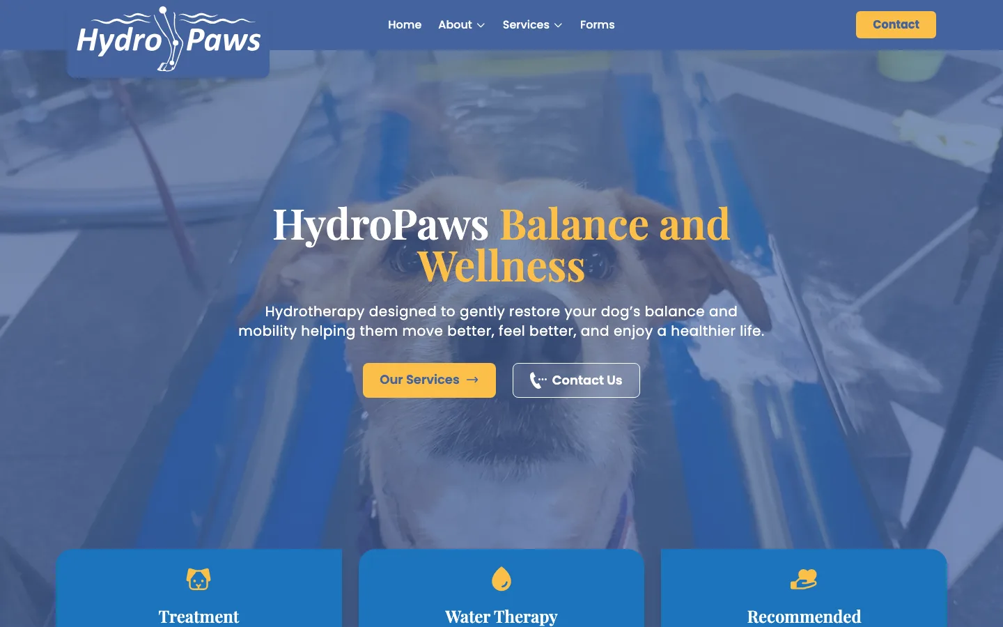 Hydro Paws Balance and Wellness
