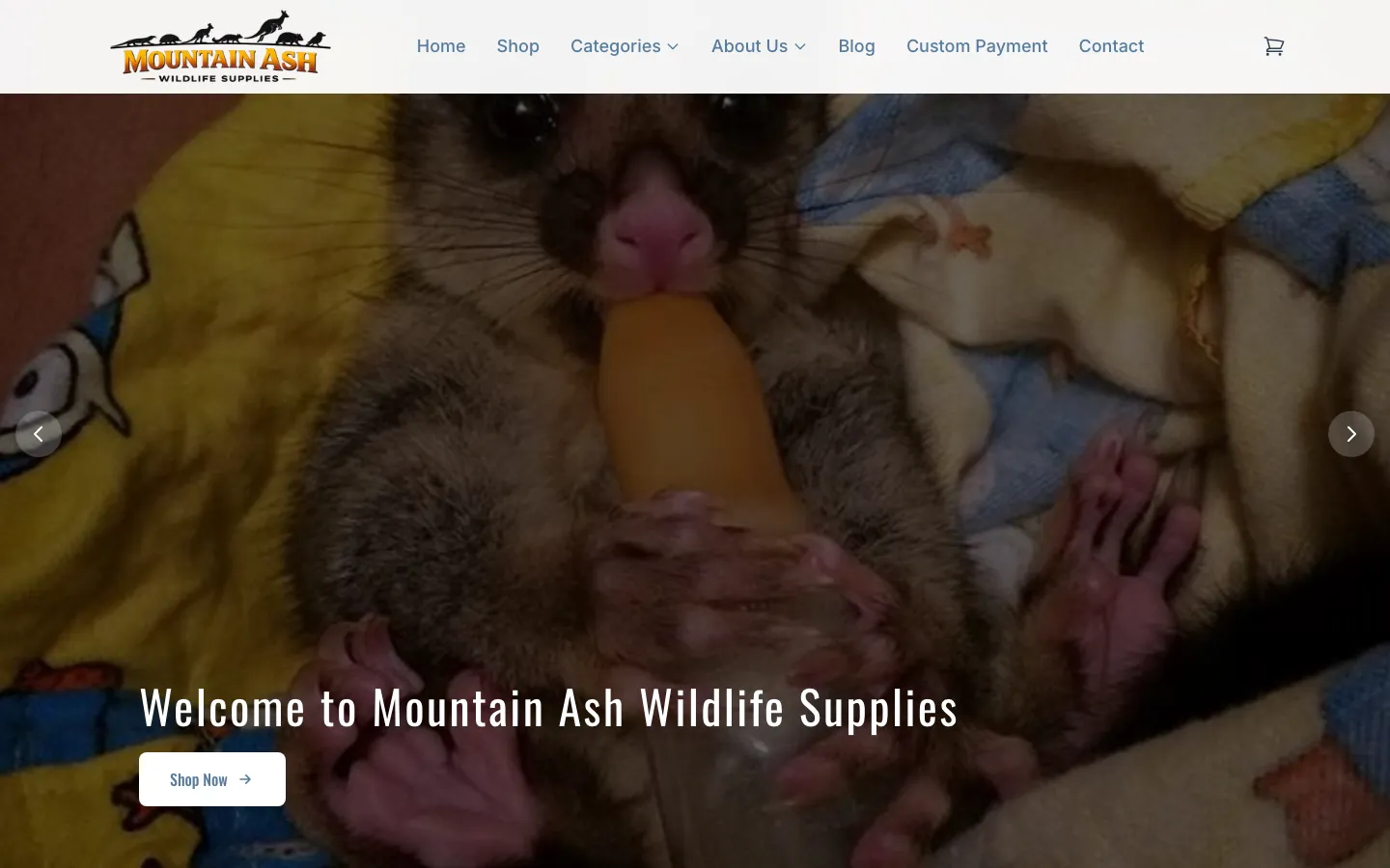 Mountain Ash Wildlife Supplies