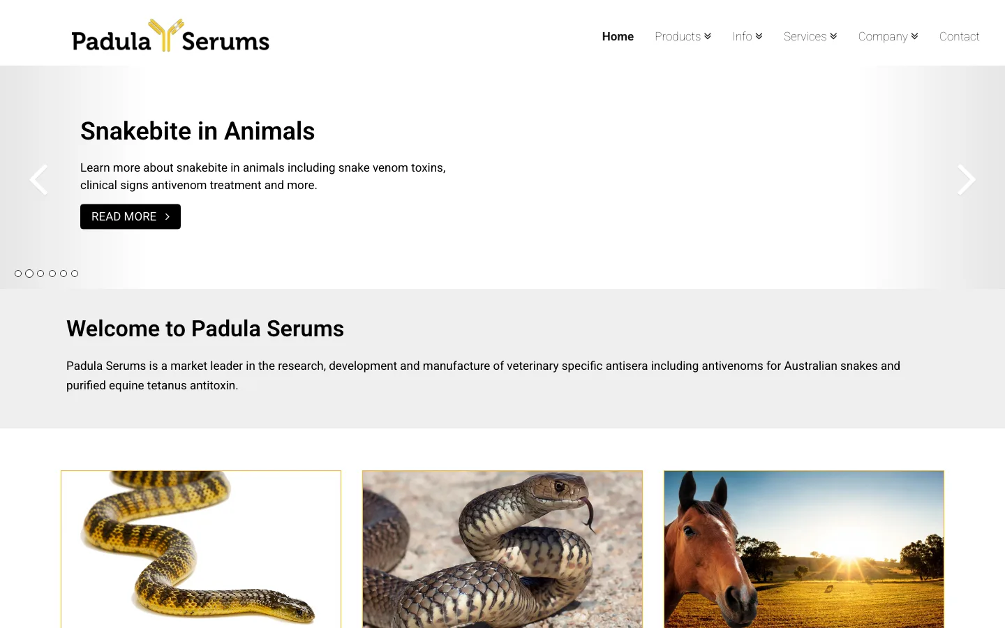 Padula Serums