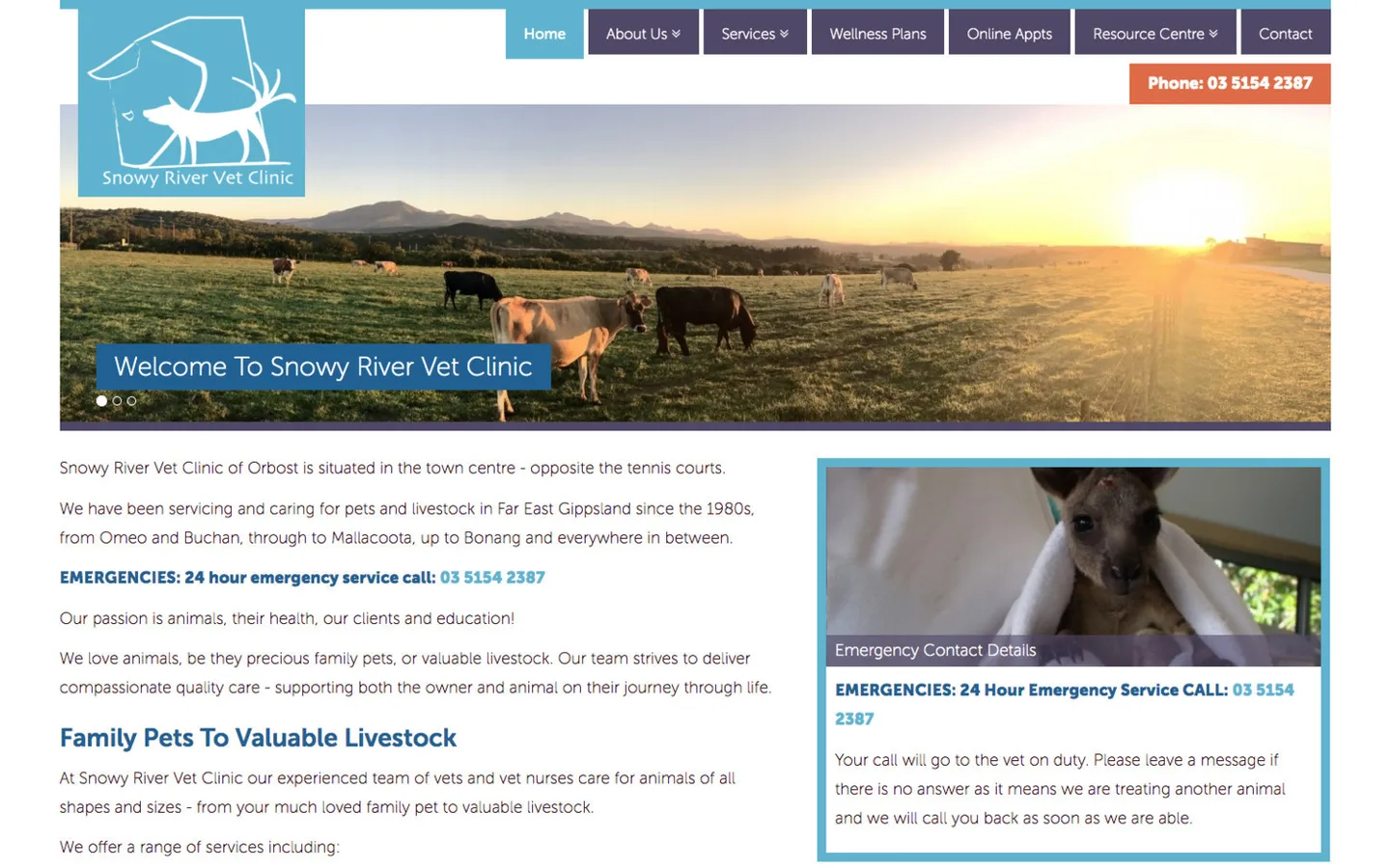 Snowy River Vet Clinic